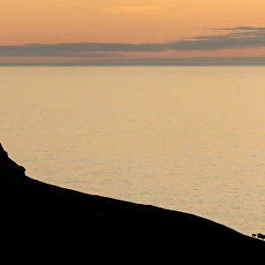 Silhouette of a mountain ridge with sheep in front of the sea, Kalsoy, Norooyar, Faroe Islands, Denmark
