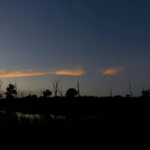 Silhouette of trees by lake, Matusadona National Park, Lake Kariba, Zimbabwe