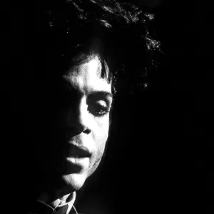 Singer "PRINCE" ROGERS NELSON