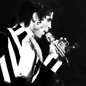 Singer "PRINCE" ROGERS NELSON