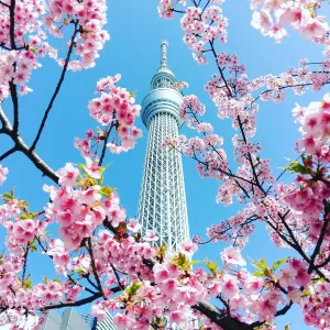 Travel Destinations Poster Print Collection: Japan, Land Of The Rising Sun