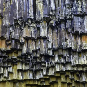 Svartifoss Geology - Basalt Columns