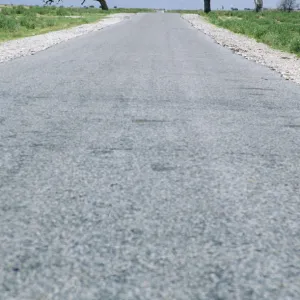 Tar Road Running Between Two Trees