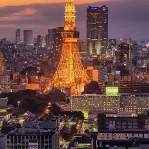 Twilight Tokyo Skyline Diamond Veil Print. Art Prints, Posters