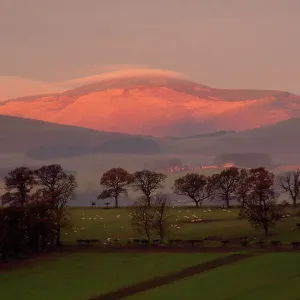 Early Morning Sun on The Cheviots Print Early Morning Sun on The Cheviots Print