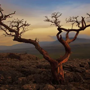 Travel Photographer Collections Gallery: Ray Bradshaw