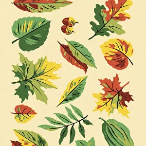 Variety of Leaves