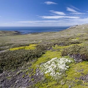 View of Westpoint Island, Westpoint Island, Falkland Islands, United Kingdom