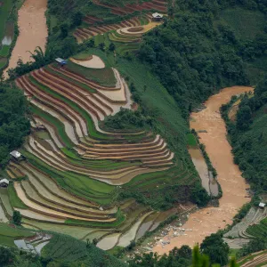 Water field in rice terrace paddies in North Vietnam