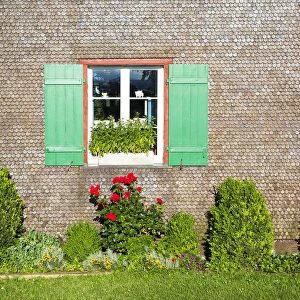 Window with green shutters, with flowers in the front, Reichenau, Baden-Wuerttemberg, Germany