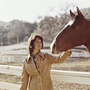 Woman stroking horse beside fence