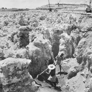 Nauru Collection: Related Images
