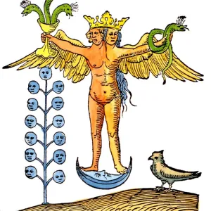 ALCHEMY - Rosarium Philosophorum. Figure from the 1550 edition of the Rosarium Philosophorum