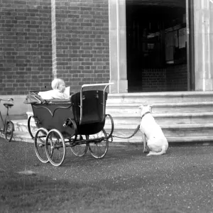 Dog and Pram 1934