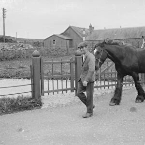 Dog riding on a horse, Borgue, Scotland. 1935