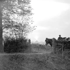 Farm scene. 14 November 1934