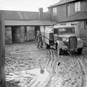 Milk churns being loaded in a muddy farmyard onto a truck belonging to R Gee and Sons