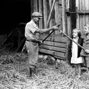 Mr Jimmy Burrows the farmhand on Westwood Farm, Westerham, Kent, showing the flail