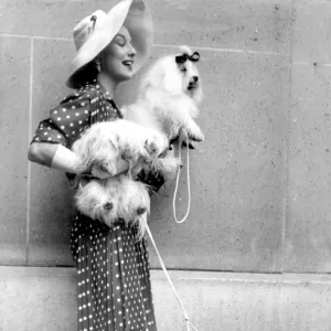 Paris dog show becomes fashion show 10th July 1954