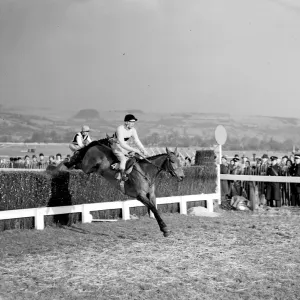 Pat Taaffe on Irish-trained Arkle takes the last fence ahead of English champion Mill House