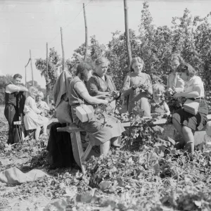 Women hop pickers in Beltring, Kent. Each worker has a gas mask over their shoulder