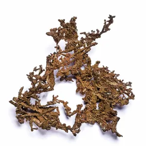 Copper Dendrite Print Copper Dendrite Print