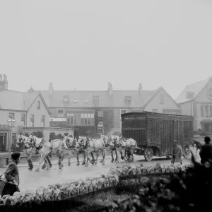 Print of a Heavy Circus Wagon outside the Great Western Hotel, Newquay Print of a Heavy Circus Wagon outside the Great Western Hotel, Newquay