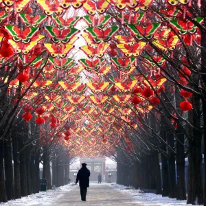 China-New Year-Decorations-Butterflies