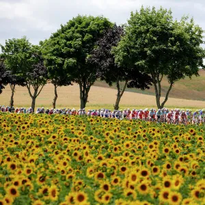 Sport Metal Print Collection: Tour De France