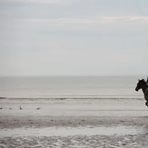 France-Lifestyle-Horse-Riding