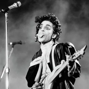 Music Artist Prince