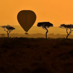 Kenya-Animals-Migration