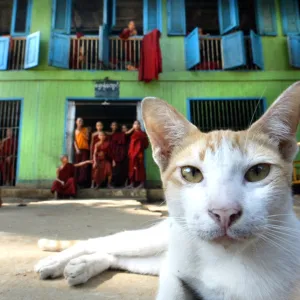 Myanmar-Religion-Monastery