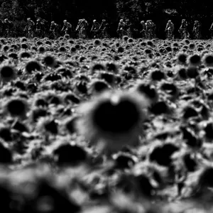 Tour De France Gallery: Tour De France 2015
