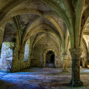 Abbey of Fontenay. Room inside the forge (photography)