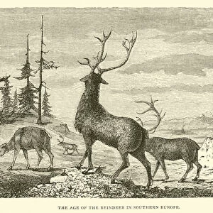 The Age of the Reindeer in Southern Europe (engraving)