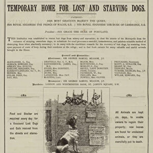 Appeal for Battersea Dogs Home (engraving)