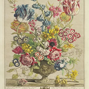 April, from Twelve Months of Flowers, by Robert Furber (c