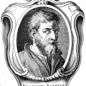 Francesco de Rossi, conocido como Francesco Salviati, pintor florentino. Francesco de Rossi, conocido como Francesco Salviati, pintor florentino.