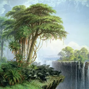 Prints of : Africa