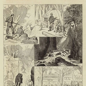 Bear-Hunting in the Pyrenees (engraving)