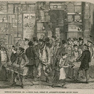 Bird fair, Great St Andrews Street, Seven Dials, London (engraving)