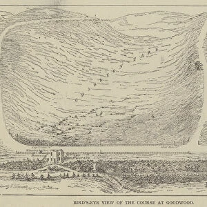 Bird s-Eye View of the Course at Goodwood (engraving)