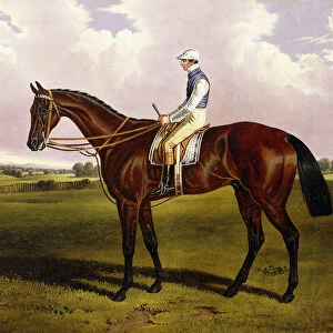 Bloomsbury, A Chestnut Racehorse with Sam Templeman up, in a Landscape, (oil on canvas)