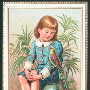Boy sitting with exotic bird on arm, Christmas Card (chromolitho)