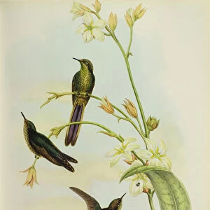 G Photographic Print Collection: John & Hart Gould