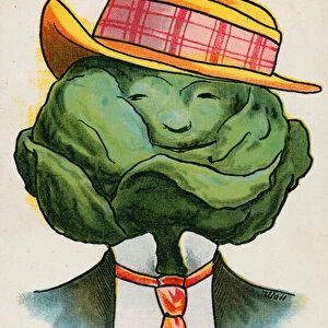 Cabbage (colour litho)
