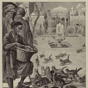 The cats home, Cairo (engraving)
