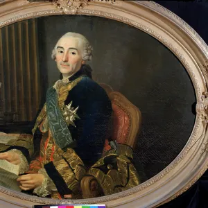 Cesar-Gabriel de Choiseul-Chevigny (1712-85) Duc de Praslin, 1763 (oil on canvas)