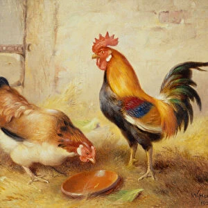 Chickens Feeding, 1920 (oil on canvas)